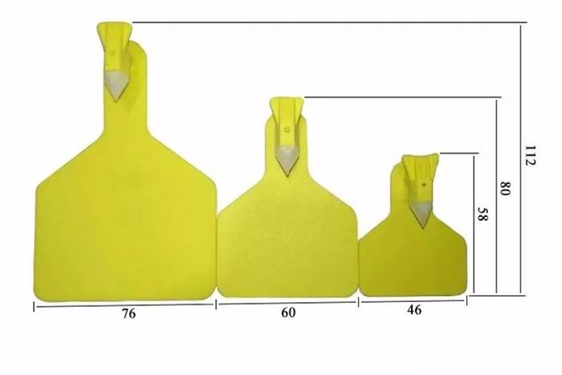 Large, medium and small conjoined cattle ear tags