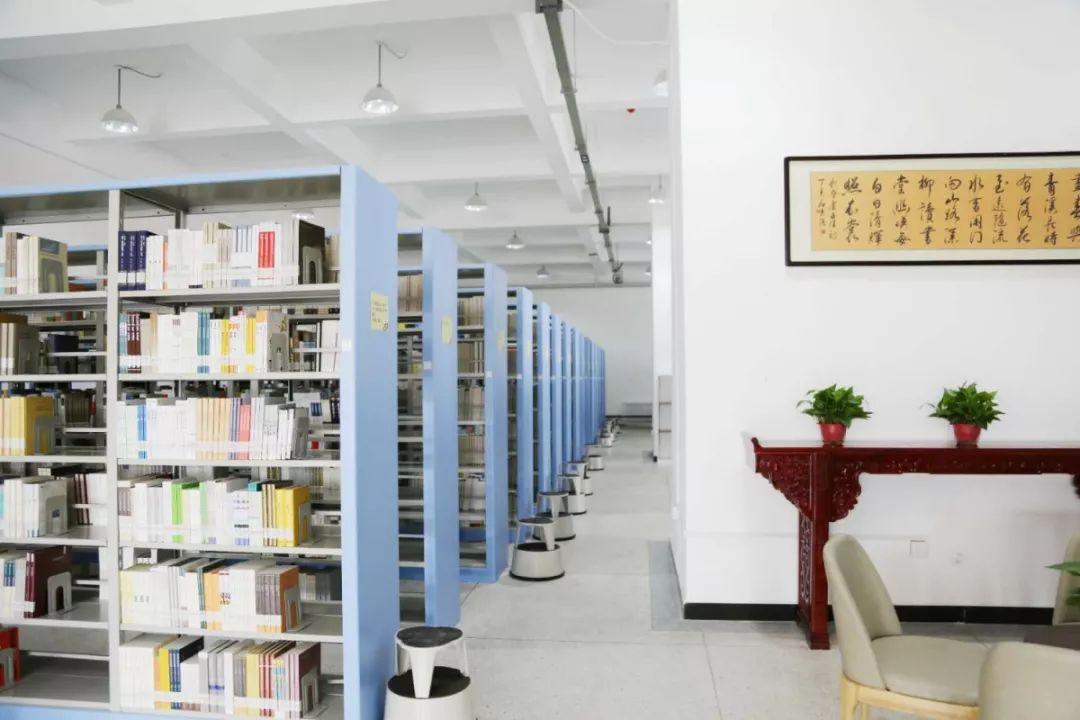 最新图书库，小巷中的宝藏世界