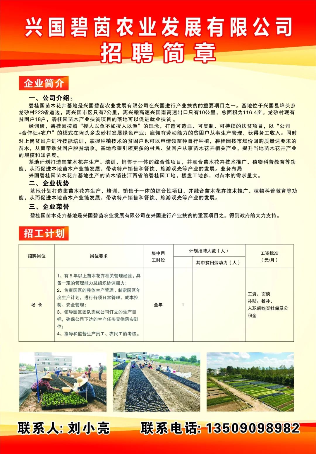 黄兴镇最新职位招聘详解与观点论述