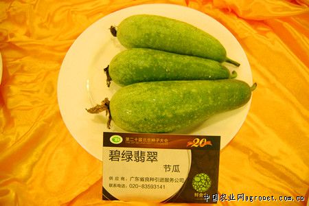 莲藕价格行情深度解析，小巷莲藕的秘香与市场价格透视