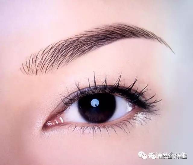 浓眉明星的心灵之旅，自然美景与眉宇间的情感表达