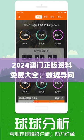 2024新澳门正版免费正题,统计信息解析说明_零障碍版73.892