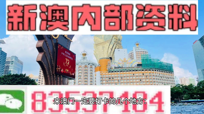 2025新澳门王中王正版,科学解释分析_动画版73.925