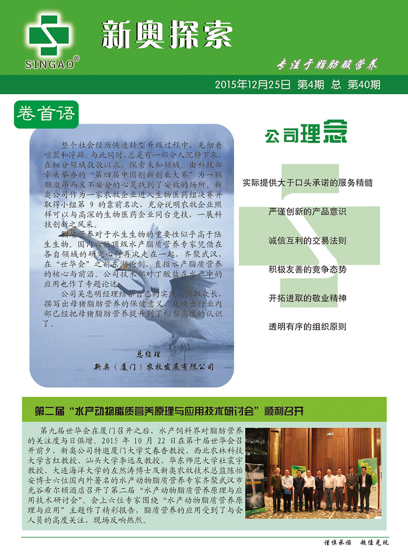 新澳2025年正版资料,决策信息解释_活动版17.117