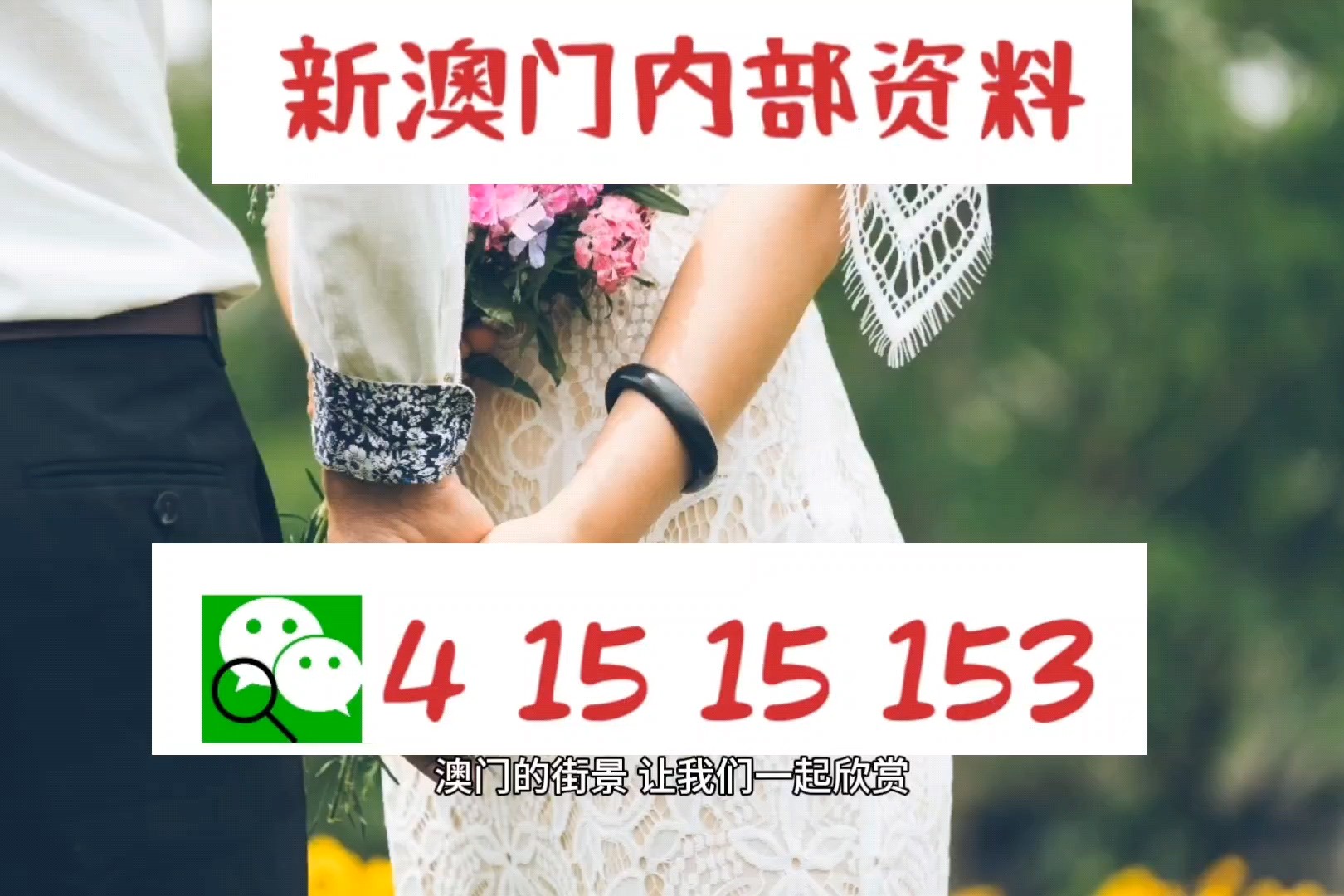 新澳门九点半9点半网站开奖,理论考证解析_多元文化版74.176