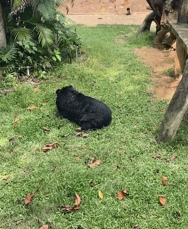 南宁最新动态概览