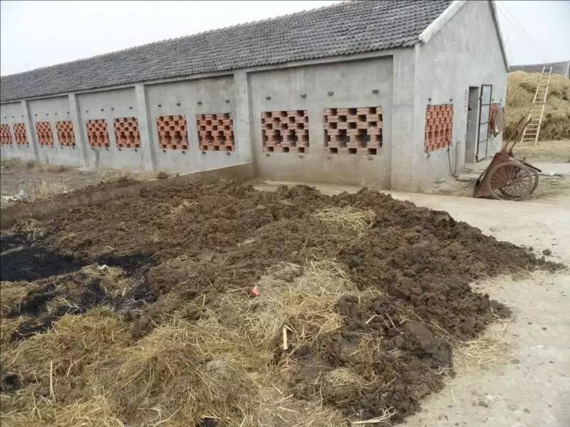 农业部卿文博最新动态，引领农业科技革新，重塑未来生活新篇章