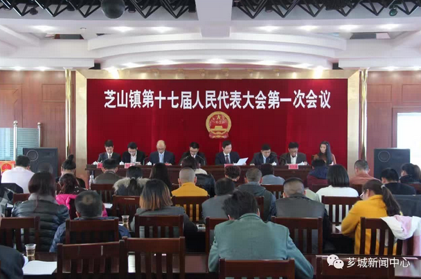 林畅浩的温馨日常更新