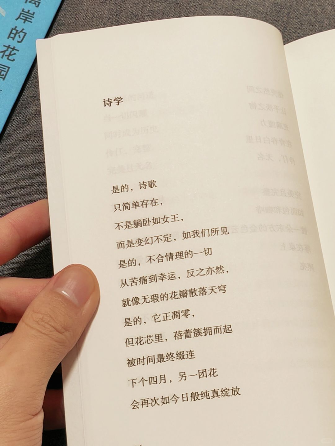 猪耳标 第8页