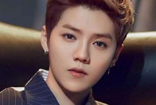 鹿晗最新歌曲引发音乐风潮，多元解读下的热门单曲解析