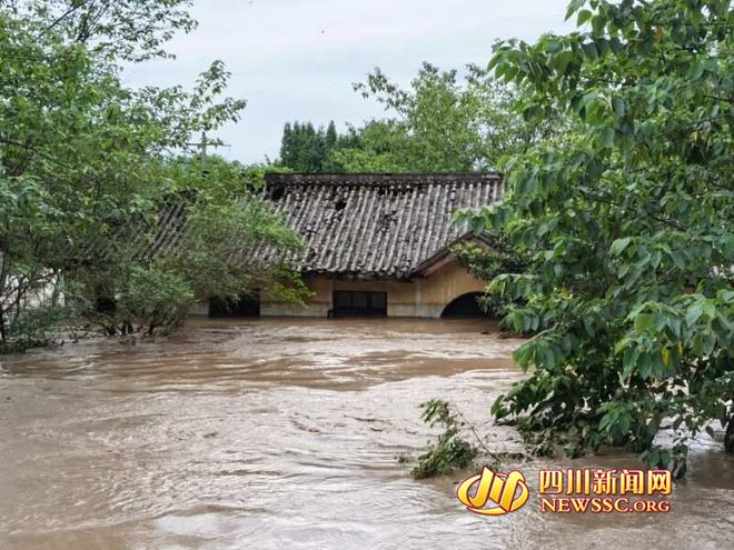 乐山凤洲坝的日常趣事与深厚友情，最新消息揭秘欢乐时光